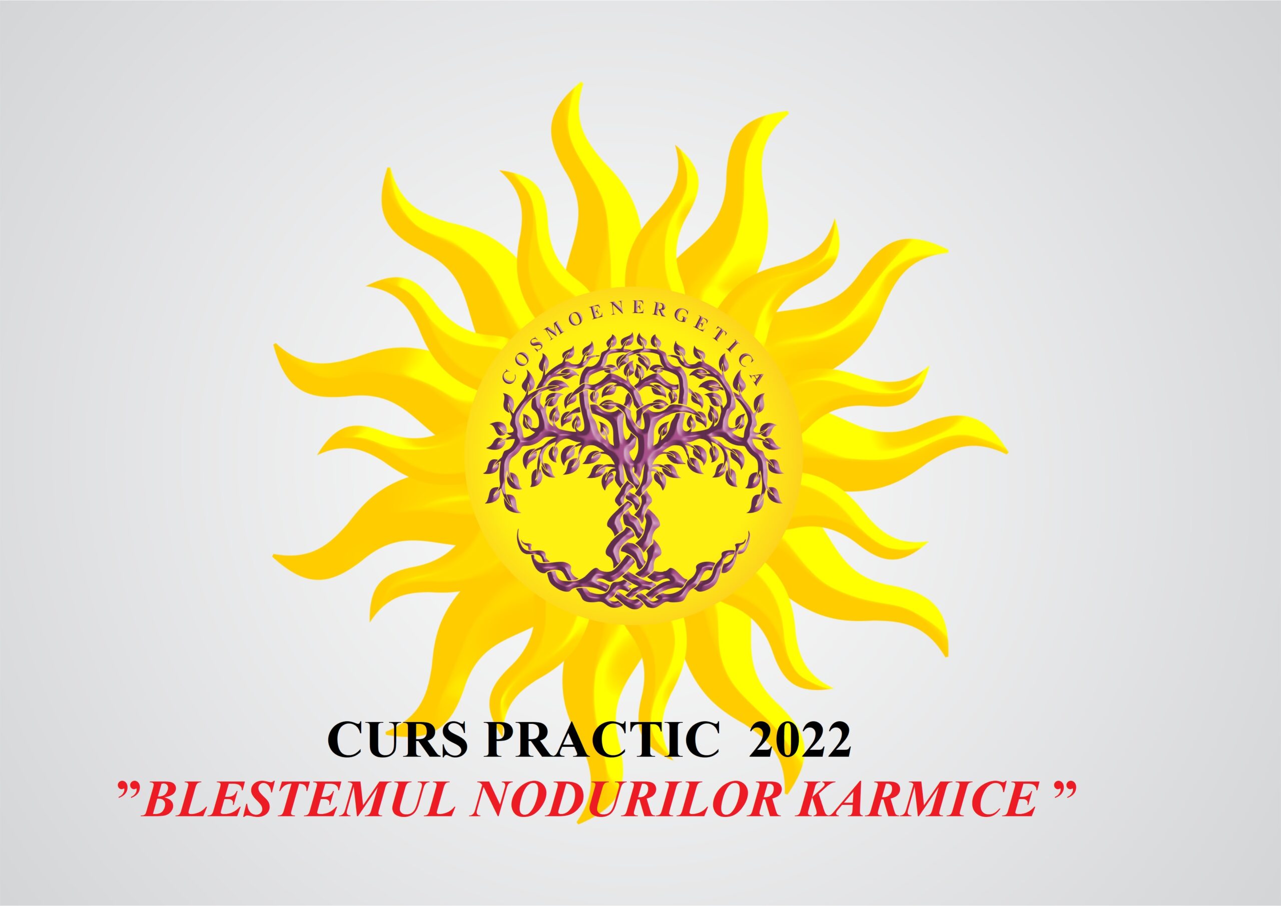 Read more about the article CURS PRACTIC – ”BlESTEMUL NODURILOR KARMICE” din ciclul  COSMOENERGETICA PRACTICĂ