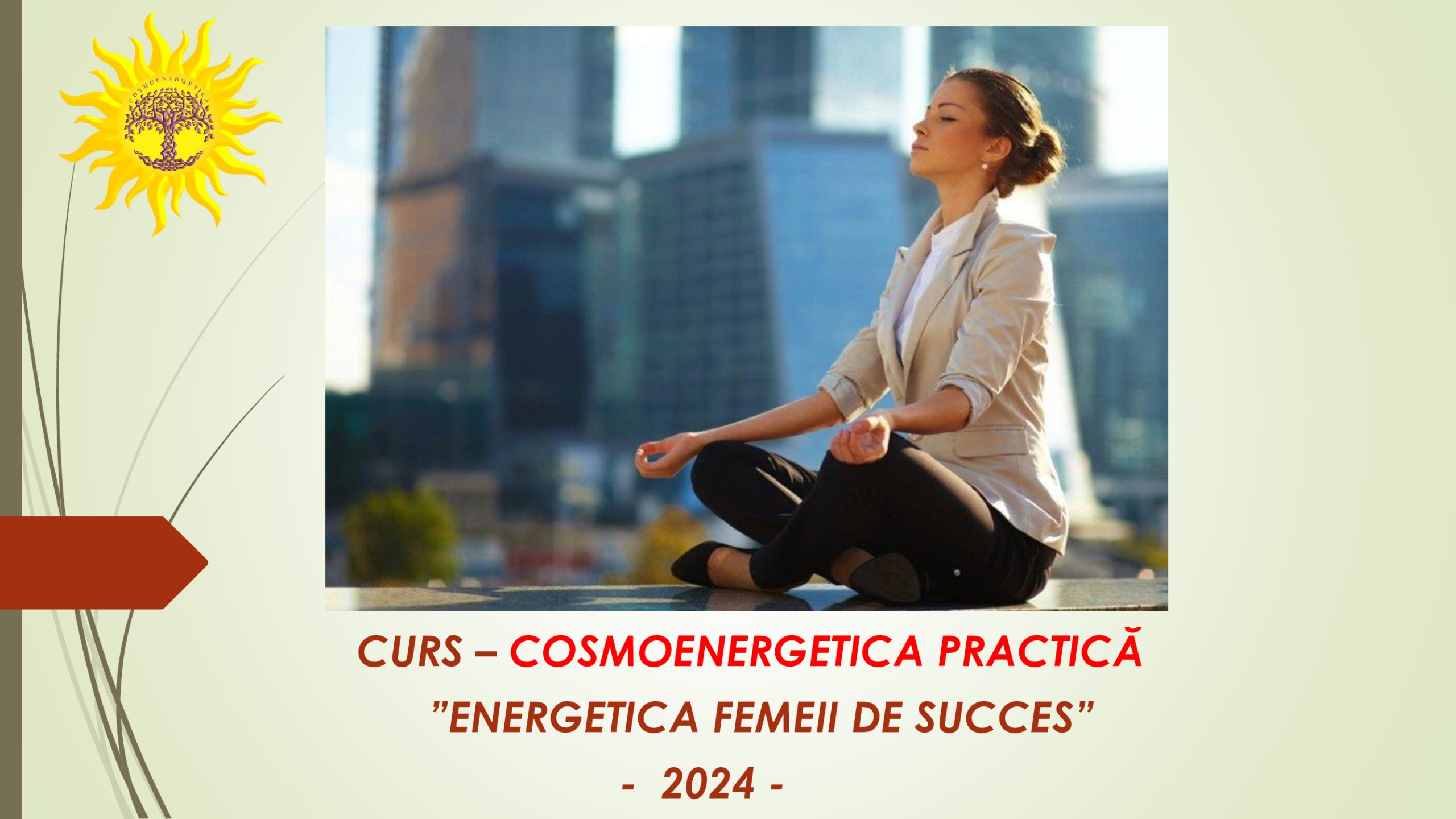 Read more about the article Curs – ” ENERGETICA FEMEII DE SUCCES”  